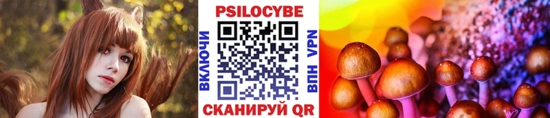 Псилоцибиновые грибы MAGIC MUSHROOMS  Купить где  Жуковка 